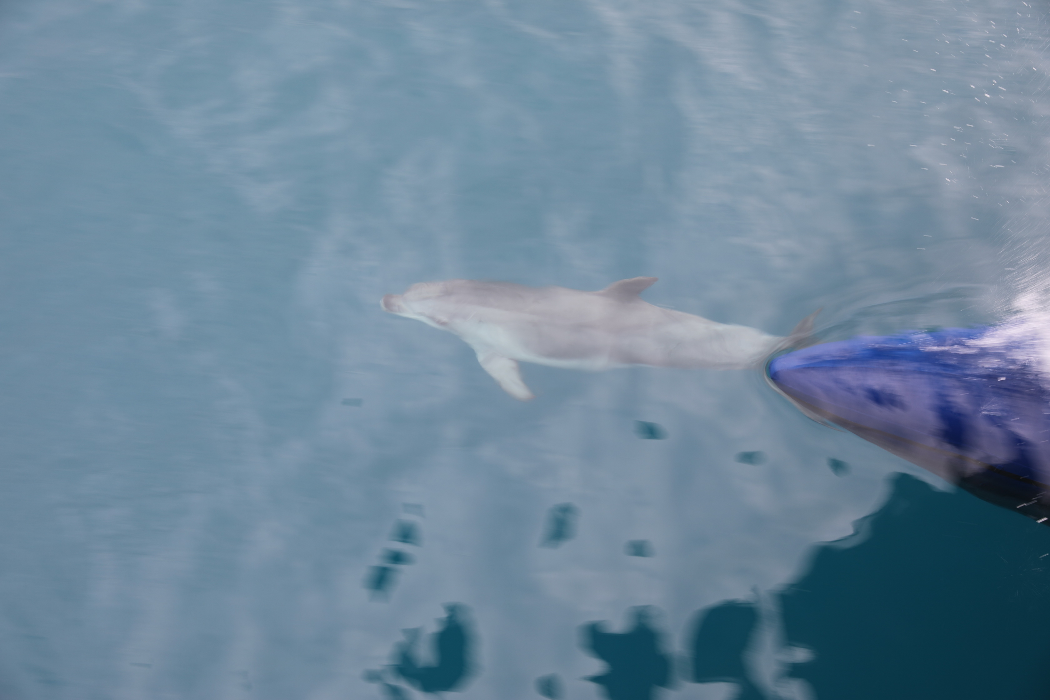 2019 09 29 09 34 21 Canon EOS 5D Mark IV 0013